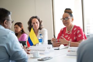 Colombia trabaja en el reconocimiento de la recolección de la pinagua por mujeres del Pacífico como Patrimonio Inmaterial de la Humanidad – Unesco