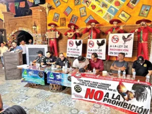 En Sonora luchan contra las leyes de protección animal que prohíben peleas de gallos