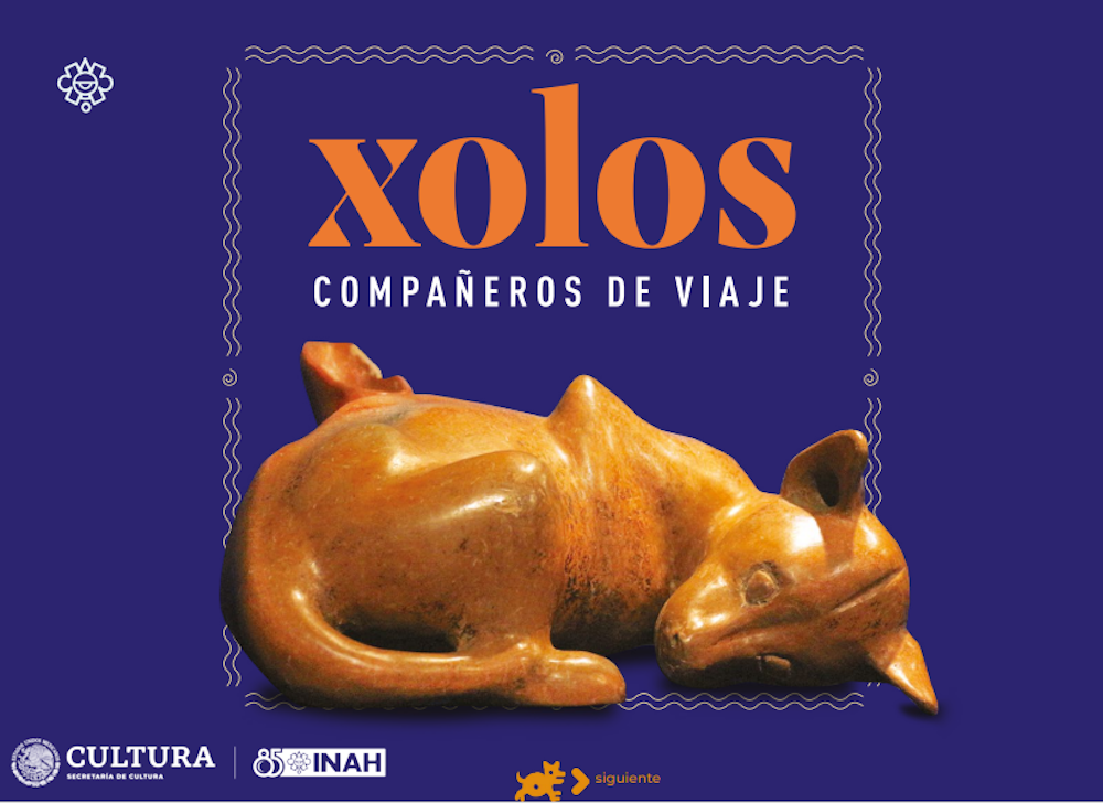 Cinco emblemáticas exposiciones de la Red de Museos del INAH se pueden explorar en ePubs gratuitos. Captura de pantalla.