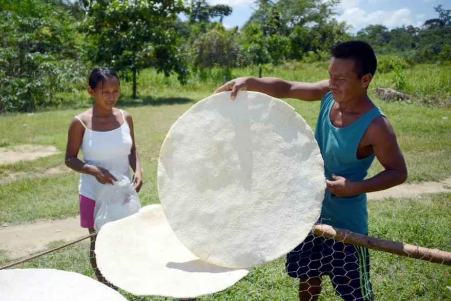 El Reconocimiento Cultural de la Yuca Inspira la Unidad Global de América Latina