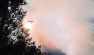 Proponen declarar las reservas incendiadas como Patrimonio Natural para protegerlas en Chubut, Argentina.