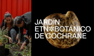 Lanzan campaña para inaugurar el primer Jardín Etnobotánico de la Región de Aysén, Chile.