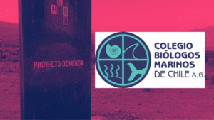 Patrimonio Natural en peligro, Caso Dominga, Pronunciamiento del Colegio de Biólogos y Biólogas Marinos de Chile
