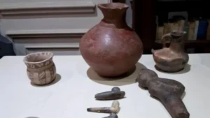 Fósiles y relíquias en Neuquén, Argentina: restituyeron más de 130 piezas arqueológicas y paleontológicas