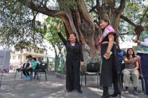 Doce árboles centenarios ya son patrimonio natural de CDMX