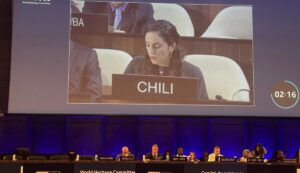 UNESCO reconoce avances de Chile en Sitios de Patrimonio Mundial y entrega lineamientos para su fortalecimiento