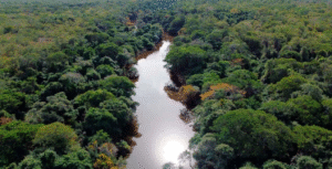 Kaa-Iya del Gran Chaco cumple 30 años y busca reconocimiento internacional como patrimonio natural