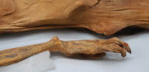 Descubren tatuajes ocultos en momias milenarias que revelan los rituales más misteriosos de civilizaciones antiguas