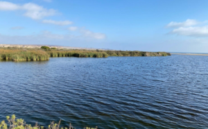 Desembocadura del Río Huasco: Ministerio del Medio Ambiente declara el humedal urbano número 140 en Chile