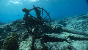 Arqueología Submarina en Colombia: Recuperados Primeros Objetos del Galeón San José