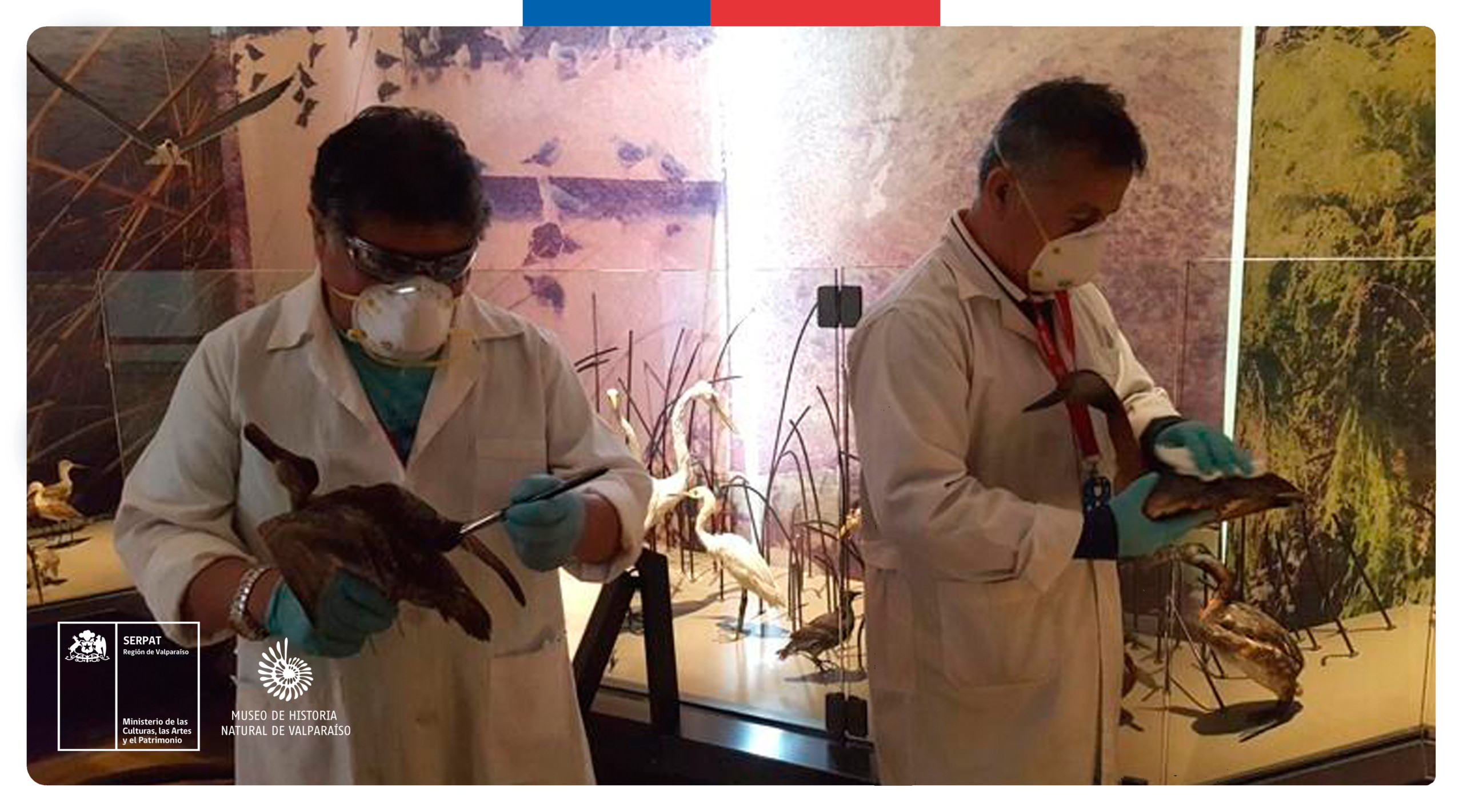 Humedales, conocimiento y vida: patrimonio natural desde la inteligencia ambiental en Chile