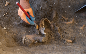 Arqueólogos buscan en República Dominicana a Enriquillo el «primer guerrillero de América»