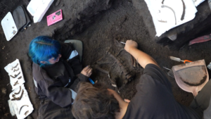 Nuevo hallazgo arqueológico en Tagua Tagua, Chile: Descubren tres individuos en buen estado de conservación, que tendrían hasta 5 mil años de antigüedad