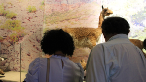 Chile: Museo de Historia Natural de Valparaíso, será sede de la Misión Internacional STEM+ Valparaíso 2026