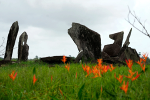 Excavaciones arqueológicas en el Amazonas, Brasil dan pistas sobre indígenas antes de la colonización