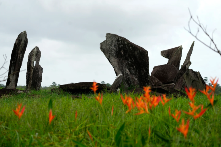 Excavaciones arqueológicas en el Amazonas, Brasil dan pistas sobre indígenas antes de la colonización