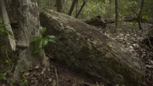 Descubrimiento histórico para la arqueología: encuentran intacta una ciudad maya prehispánica que llevaba 11 siglos escondida en la jungla mexicana