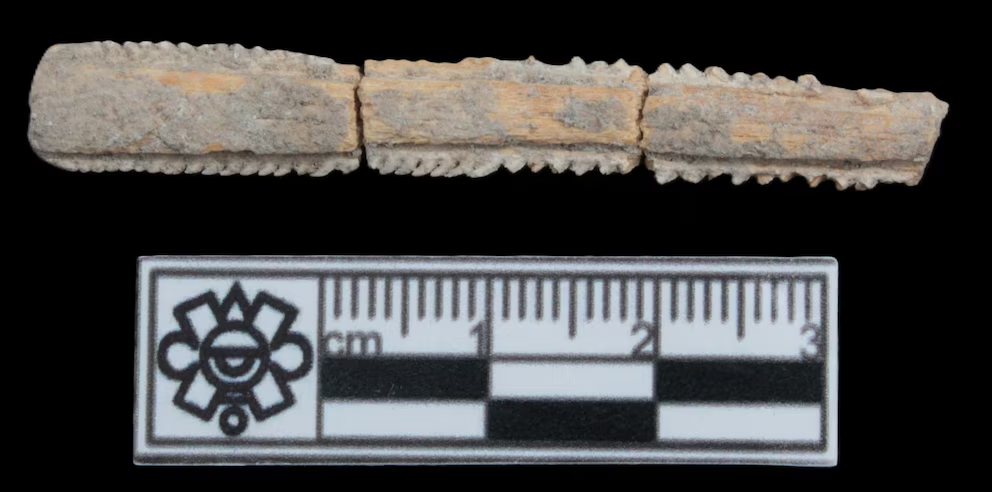 El hallazgo del Tren Maya que abre nuevas pistas sobre rituales de autosacrificio maya